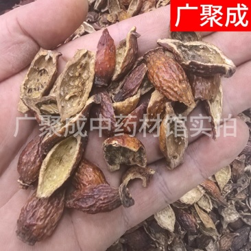 果实籽仁类金樱子金樱子肉