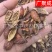 果实籽仁类金樱子金樱子肉