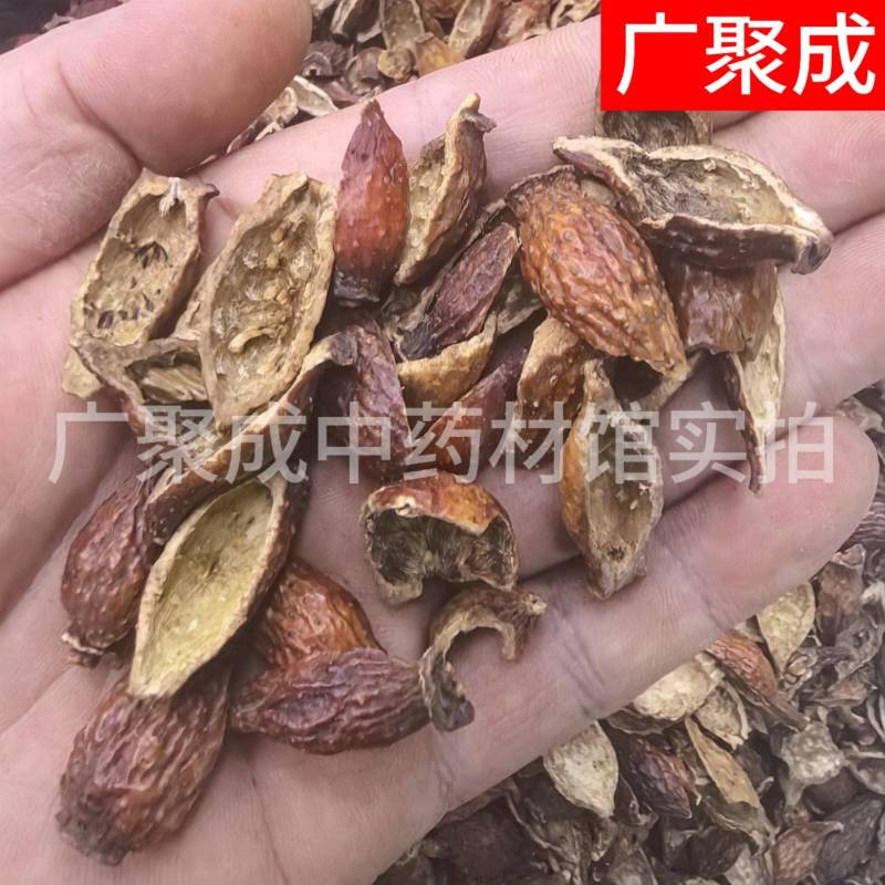 果实籽仁类金樱子金樱子肉