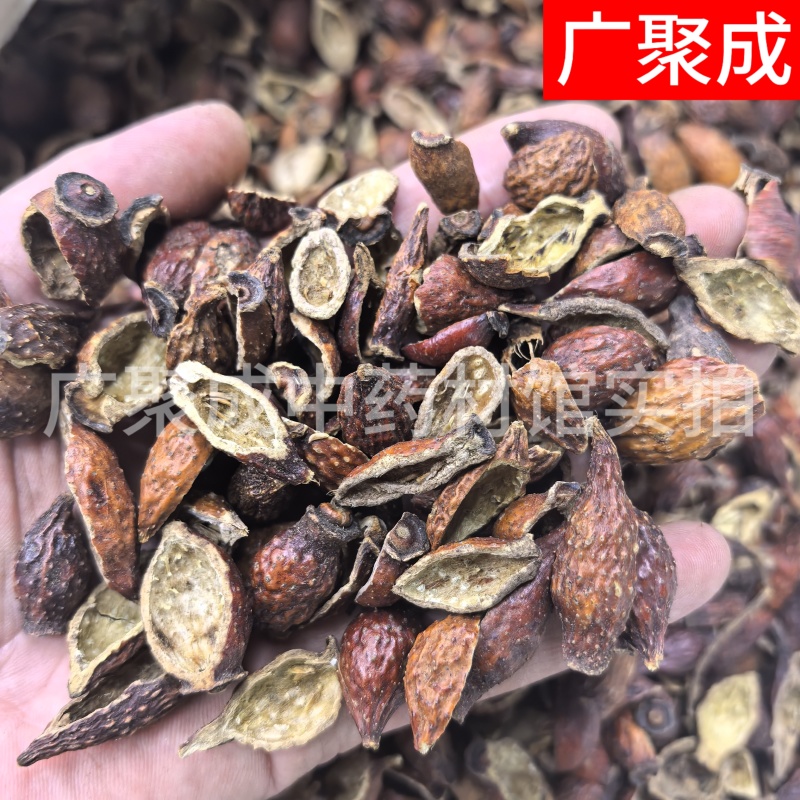 果实籽仁类金樱子金樱子肉
