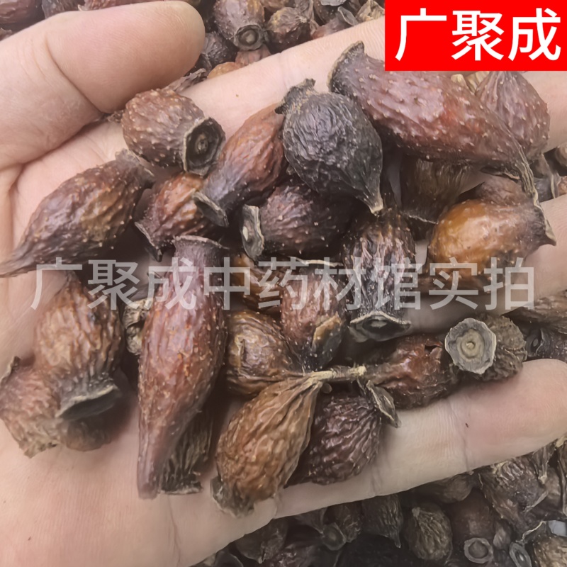果实籽仁类金樱子金樱子肉