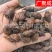 果实籽仁类金樱子金樱子肉