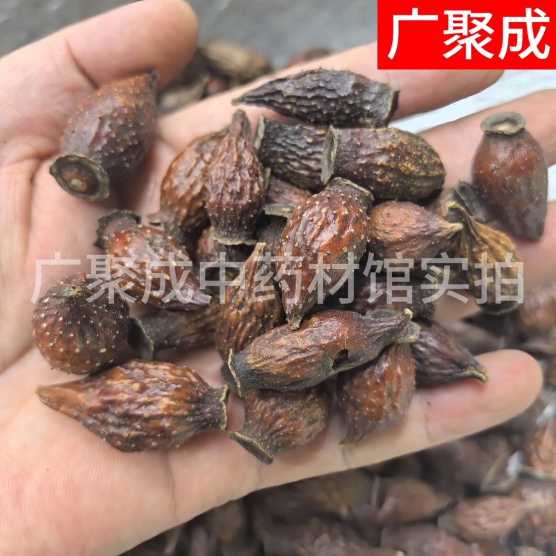 果实籽仁类金樱子金樱子肉