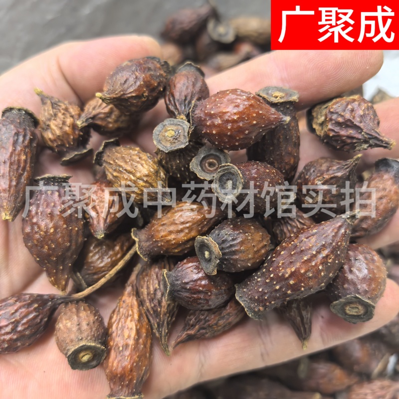 果实籽仁类金樱子金樱子肉