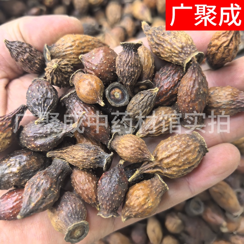果实籽仁类金樱子金樱子肉