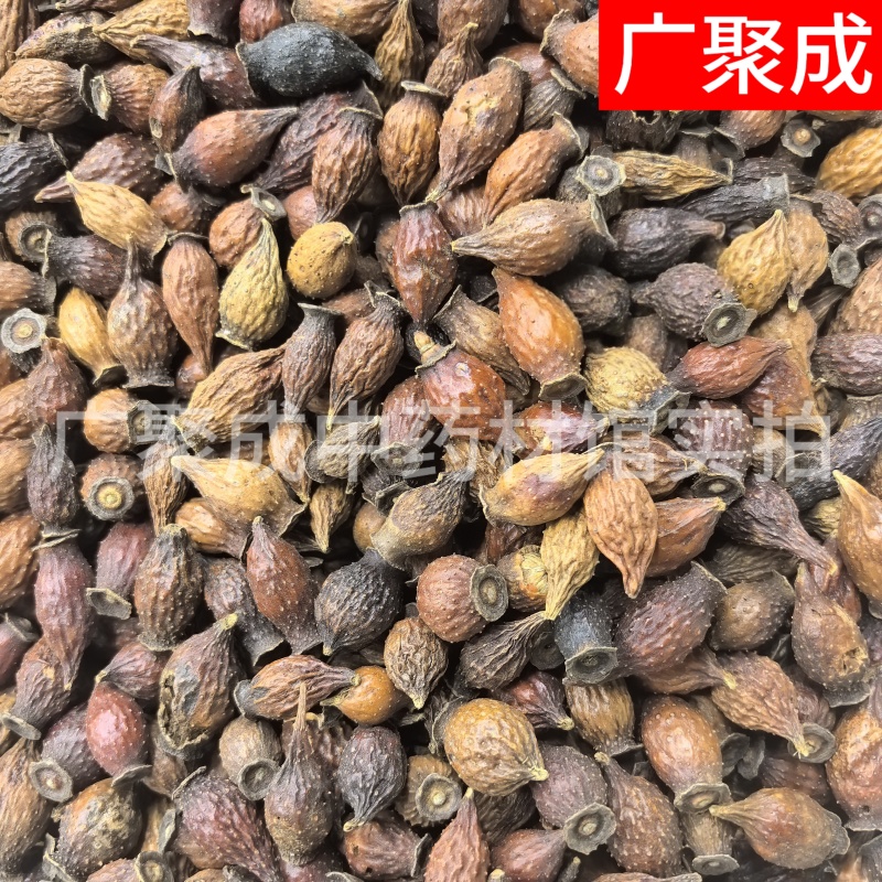 果实籽仁类金樱子金樱子肉