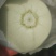 精品玉菇大量有货
