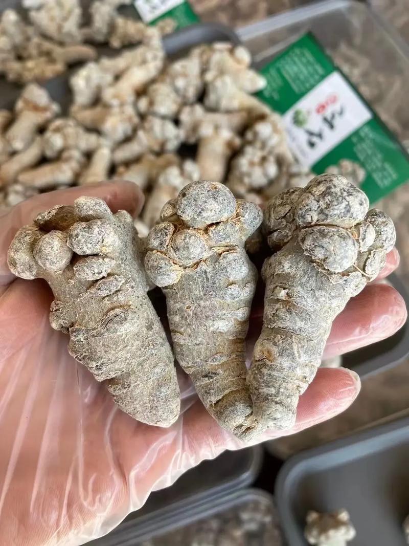 水洗35头滑头云南文山三七/量大价优/可视频看货/包邮