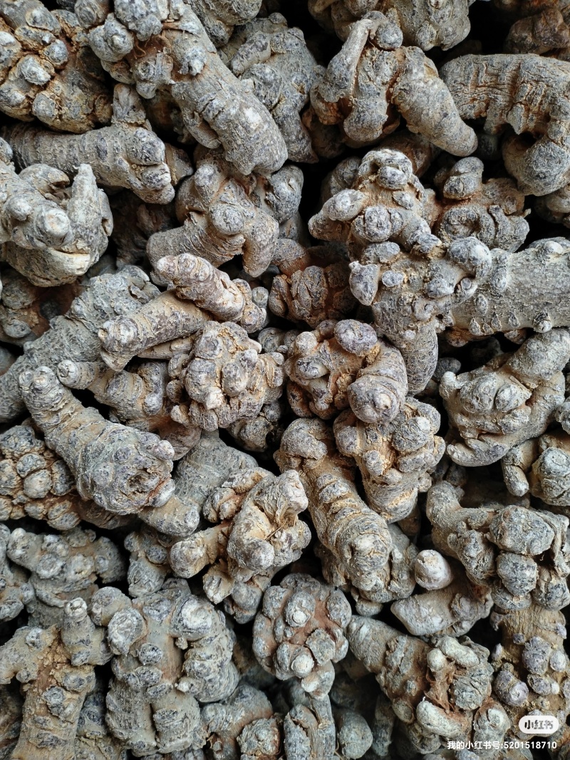水洗40头滑头三年三七/量大价优/可视频看货/包邮