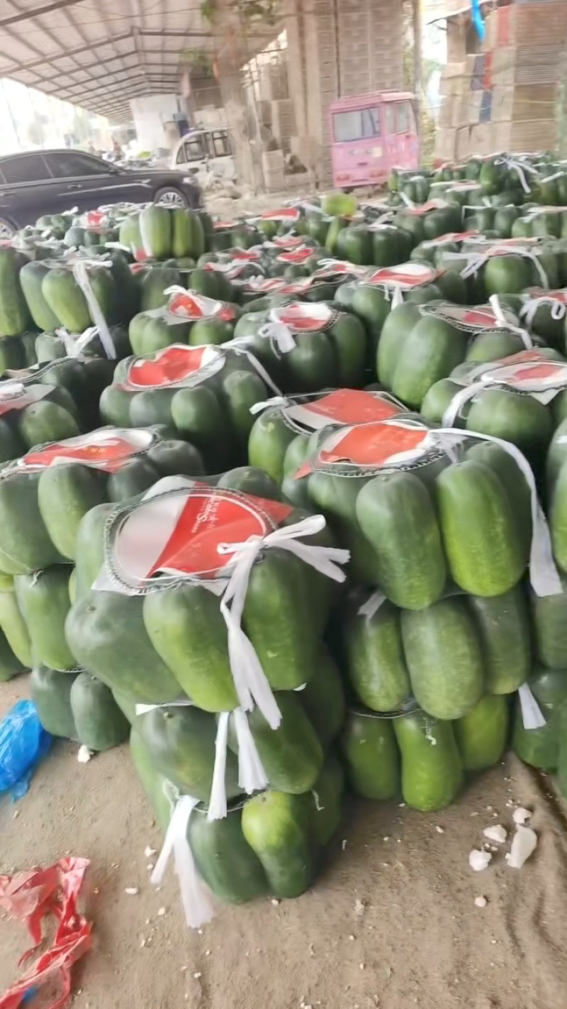 山东产地头茬绿皮小冬瓜大量上市，不限量供应！