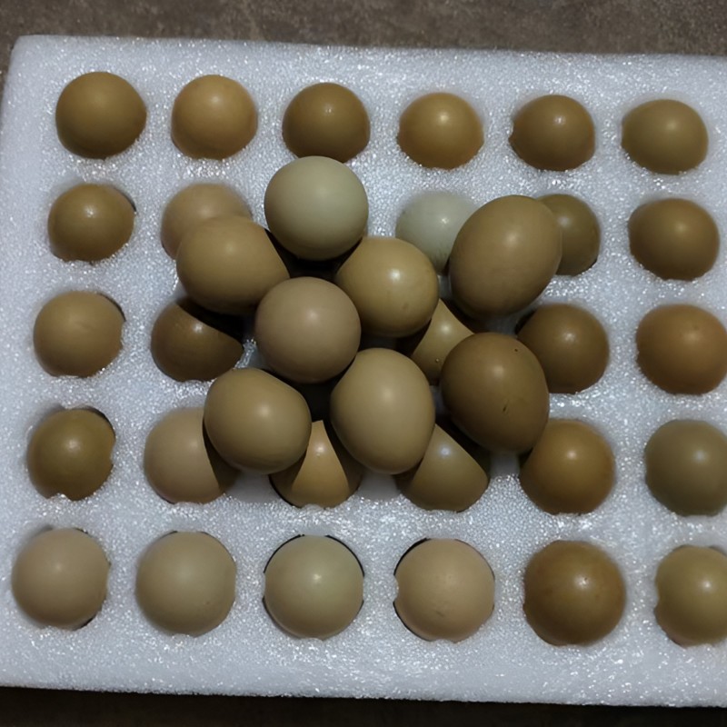 优质新鲜野鸡蛋需要的老板请联系