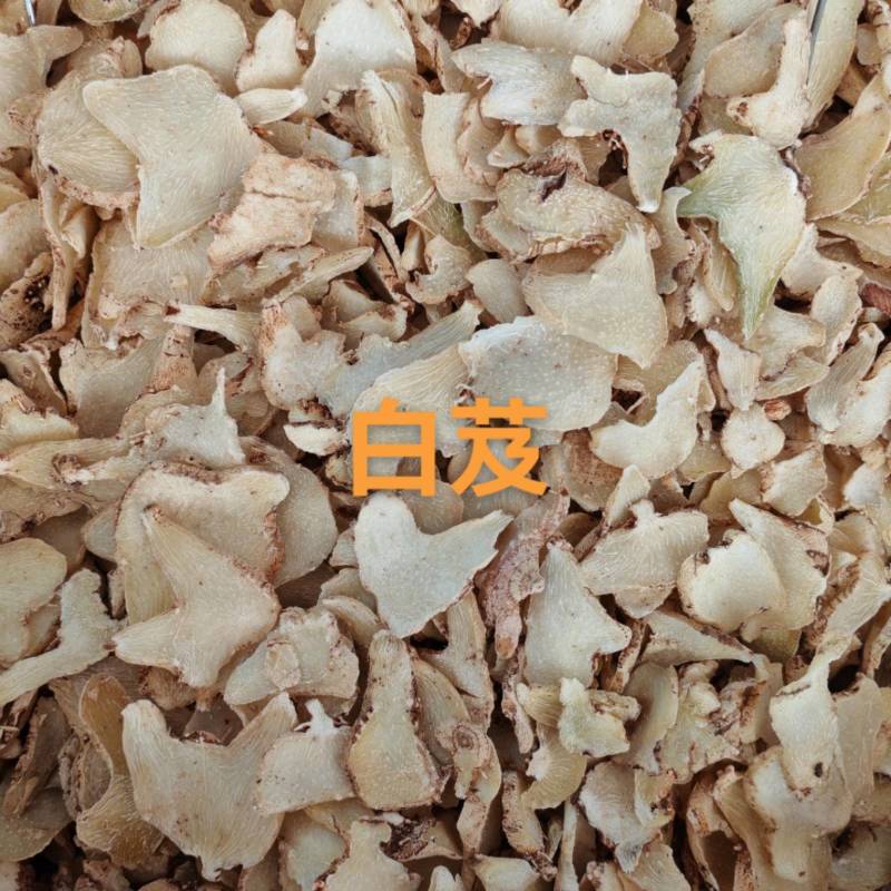 白芨