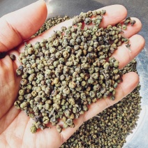 吴茱萸江西花新货