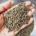 吴茱萸江西花新货