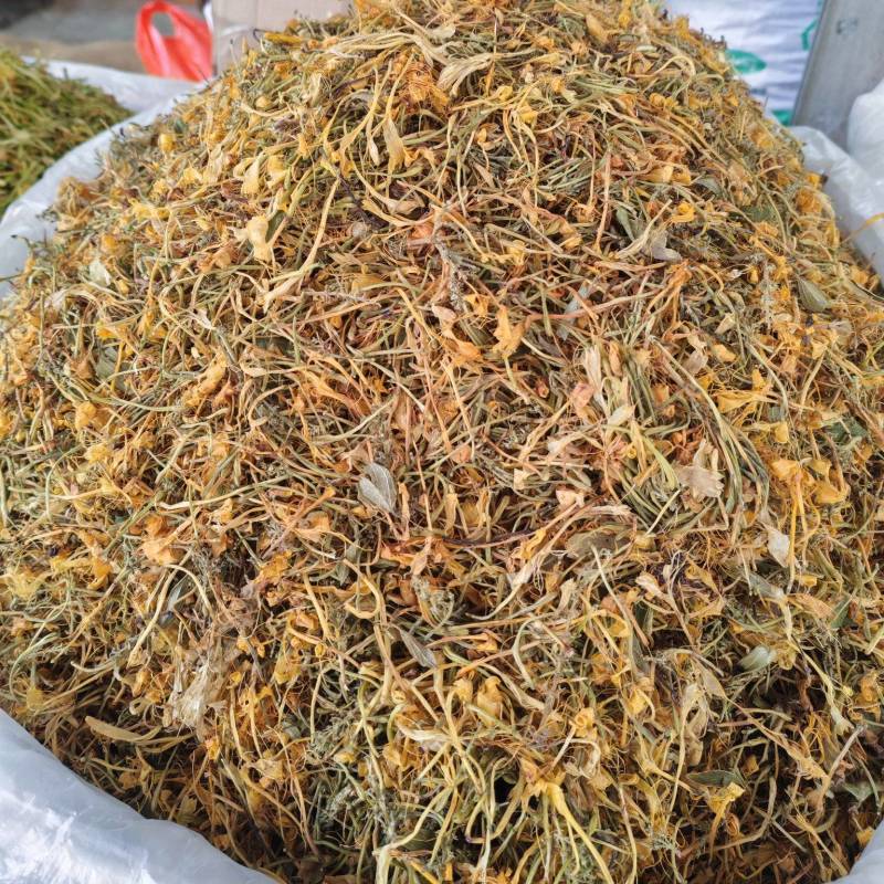 山银花