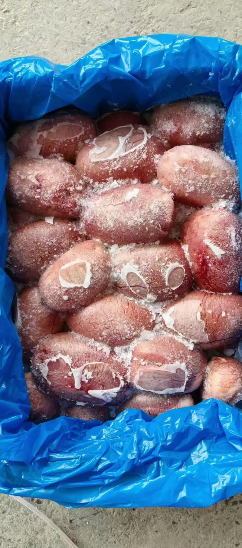 新鲜猪宝烧烤食材猪副产品猪蛋猪睾丸爆炒烧烤食材