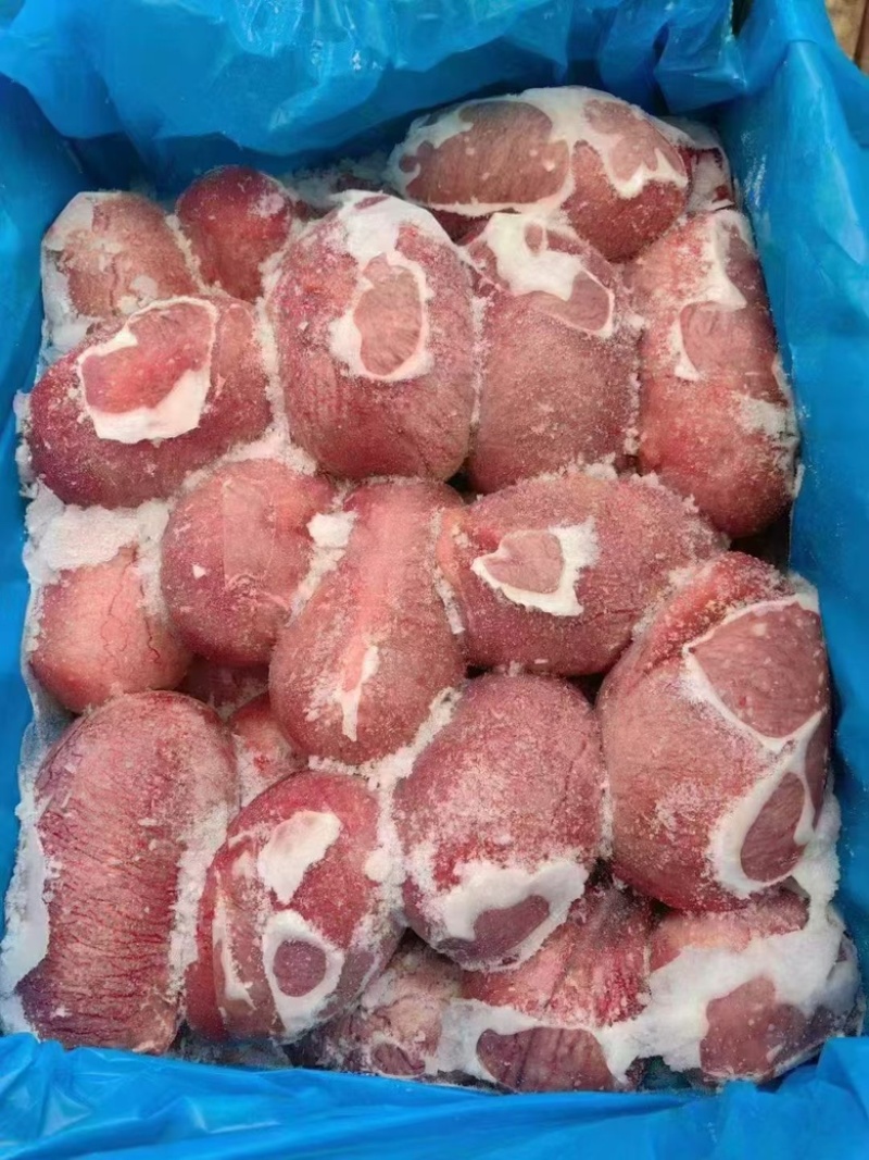新鲜猪宝烧烤食材猪副产品猪蛋猪睾丸爆炒烧烤食材