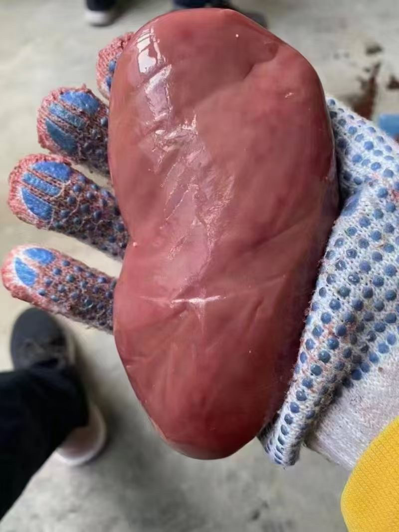 新鲜猪宝烧烤食材猪副产品猪蛋猪睾丸爆炒烧烤食材