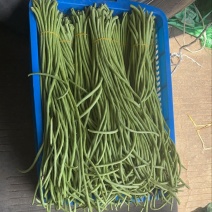 豆角，豇豆，长豆角，芜湖本地大量上市。。