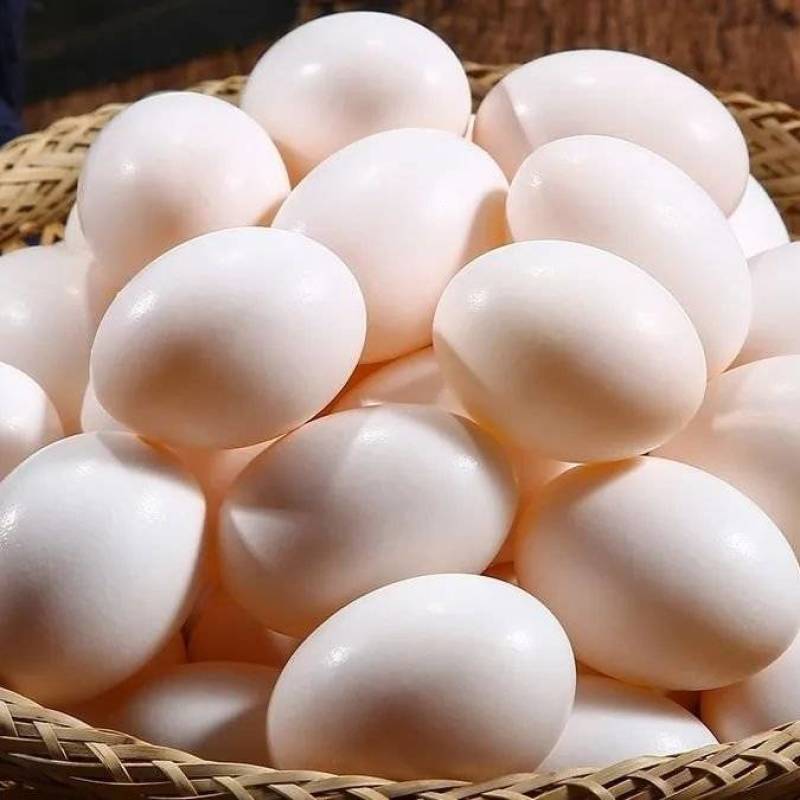 农家鸽子蛋，滋补馈赠佳品