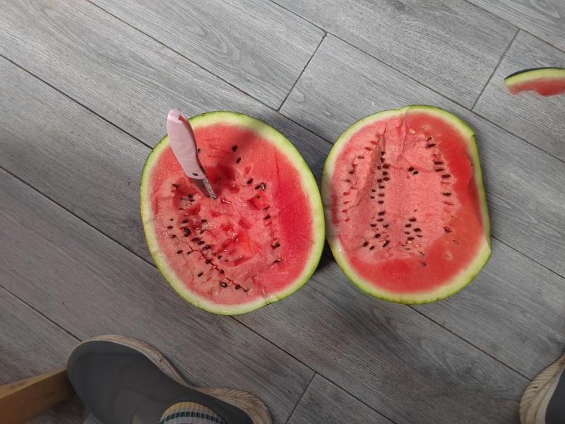 西瓜