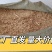 麦壳麦糠方块鸡鸭鹅猪牛羊优质草料工厂直销