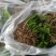白芨种苗，速度联系量大从优，一手货源，四川产地直发