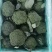 精品西兰花大量上市中