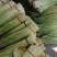 河南红帽长蒜薹，干苔无泡水对接电商市场加工储存