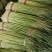 河南红帽长蒜薹，干苔无泡水对接电商市场加工储存