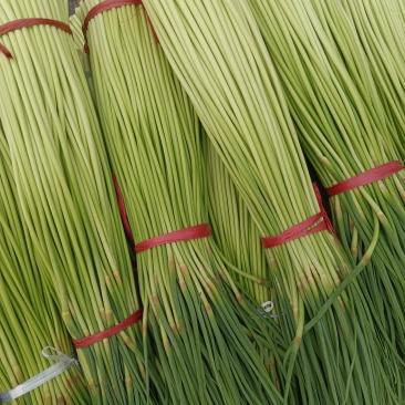 河南红帽长蒜薹，干苔无泡水对接电商市场加工储存