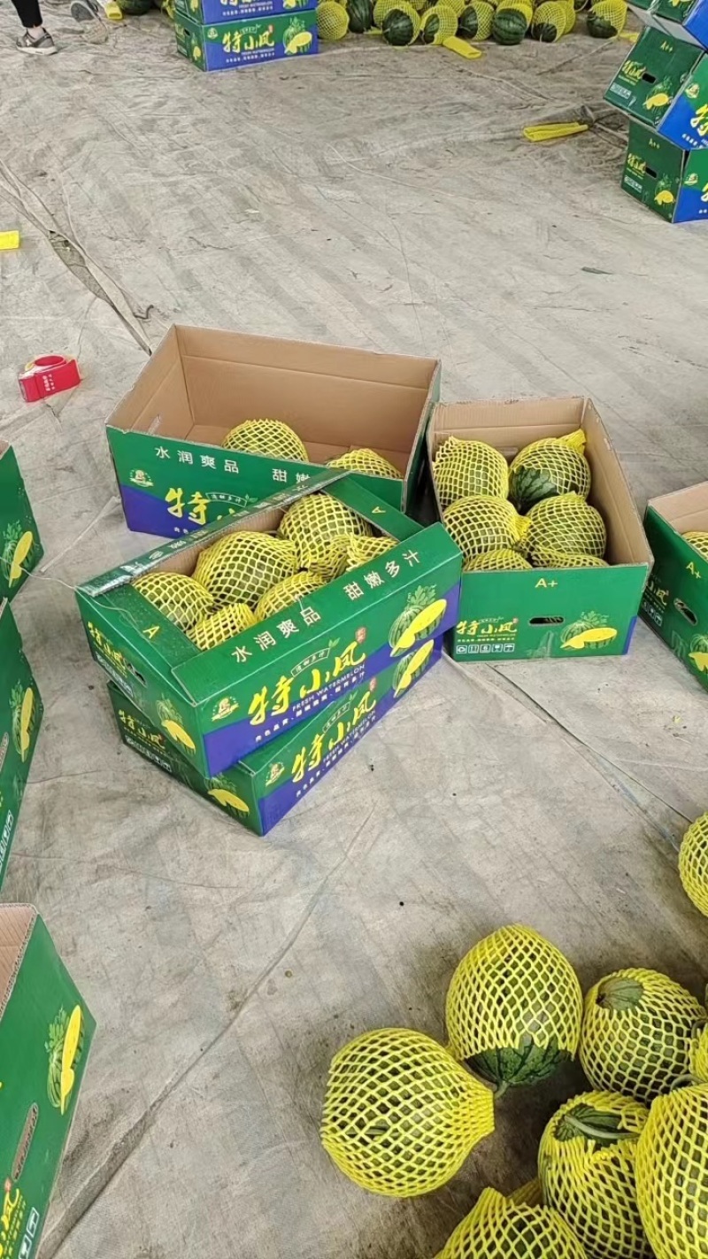 特小凤西瓜常年供货支持电商，市场，商超无货源批发对接