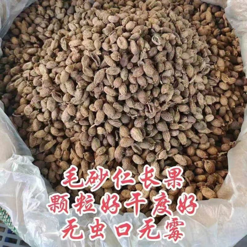 缅甸砂仁长果/圆果，颗粒好，干度好，无虫眼无发霉