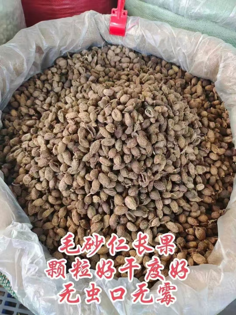 缅甸砂仁长果/圆果，颗粒好，干度好，无虫眼无发霉