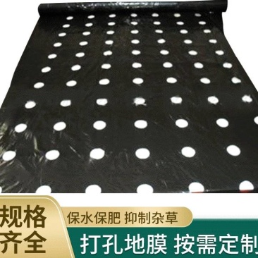 厂家直销打孔地膜白地膜打孔黑地膜打孔银黑地膜打孔