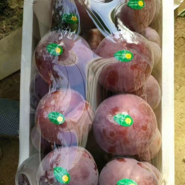 黑布林子，诚信经营，一手货源，欢迎对接