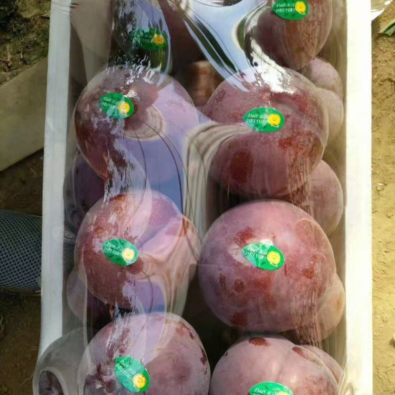 黑布林子，诚信经营，一手货源，欢迎对接
