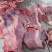 40斤起纯干羊腩肉11一斤大量现货可定制包装