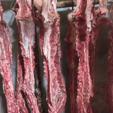 40斤起大羊多肉蝎子6一斤可锯断全国发货