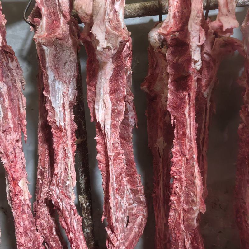 40斤起大羊多肉蝎子6一斤可锯断全国发货