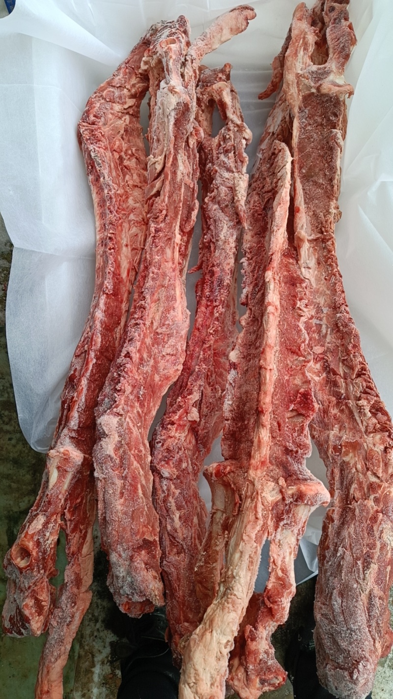 40斤起大羊多肉蝎子6一斤可锯断全国发货