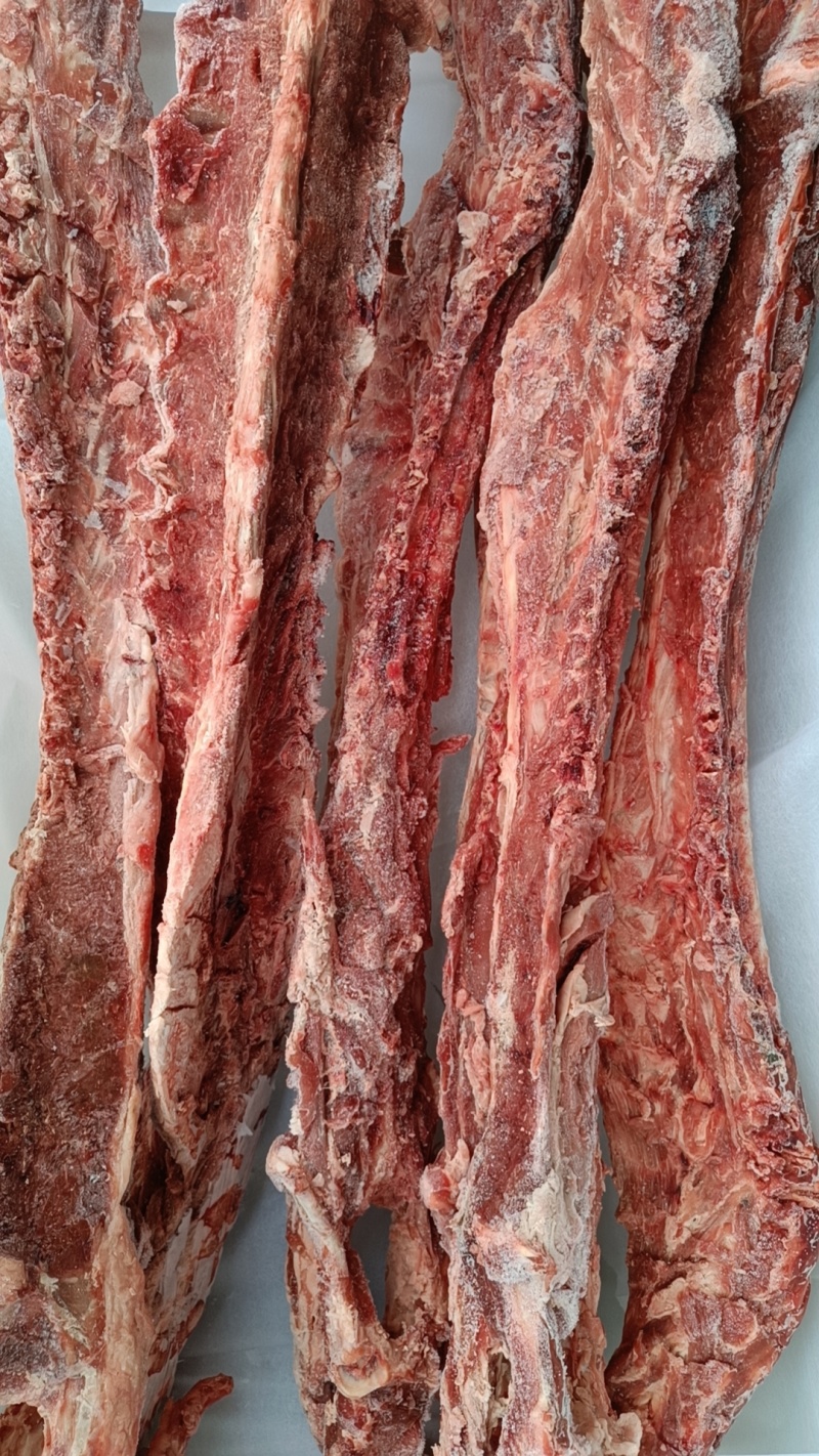 40斤起大羊多肉蝎子6一斤可锯断全国发货