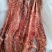 40斤起大羊多肉蝎子6一斤可锯断全国发货