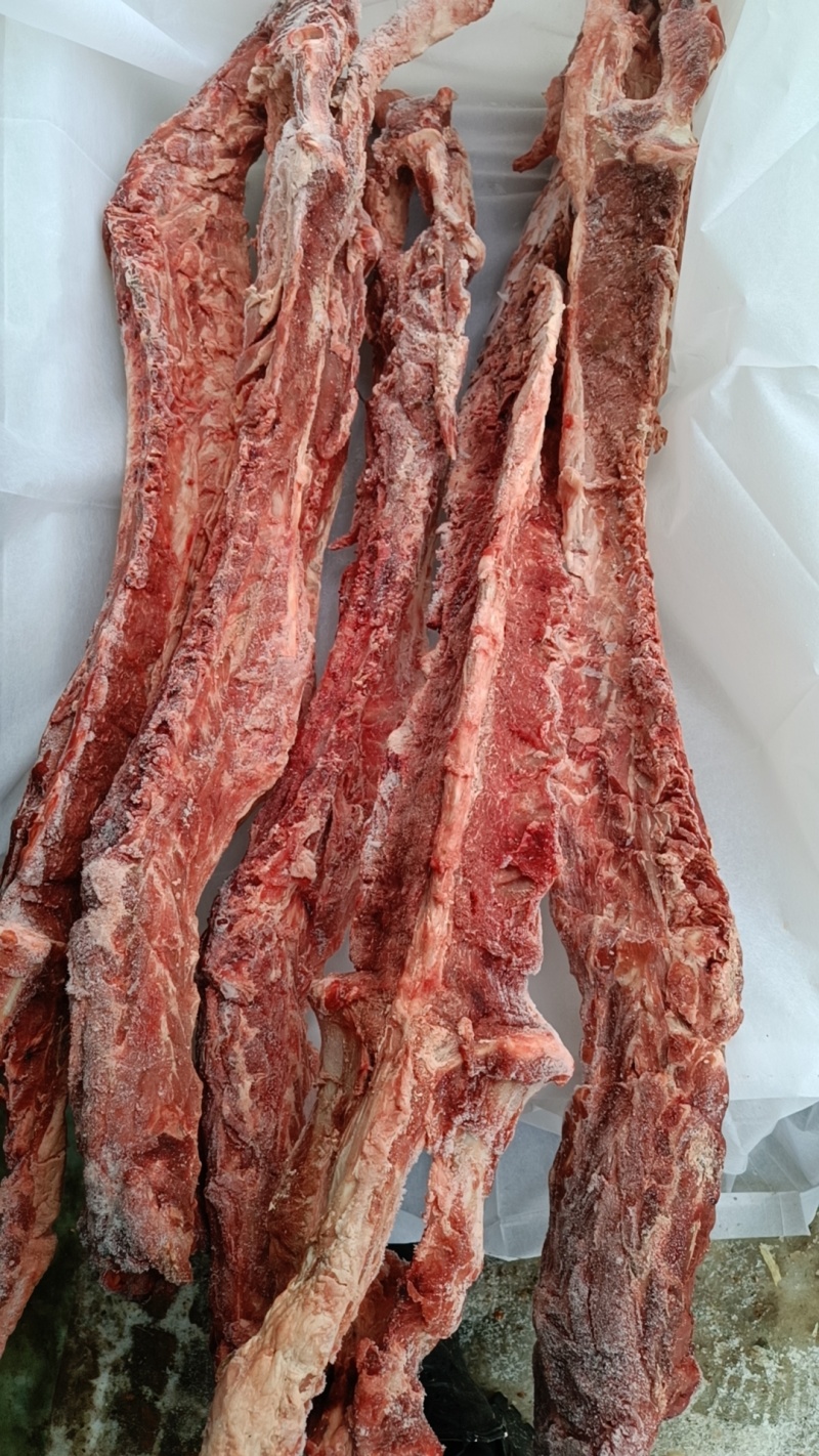 40斤起大羊多肉蝎子6一斤可锯断全国发货