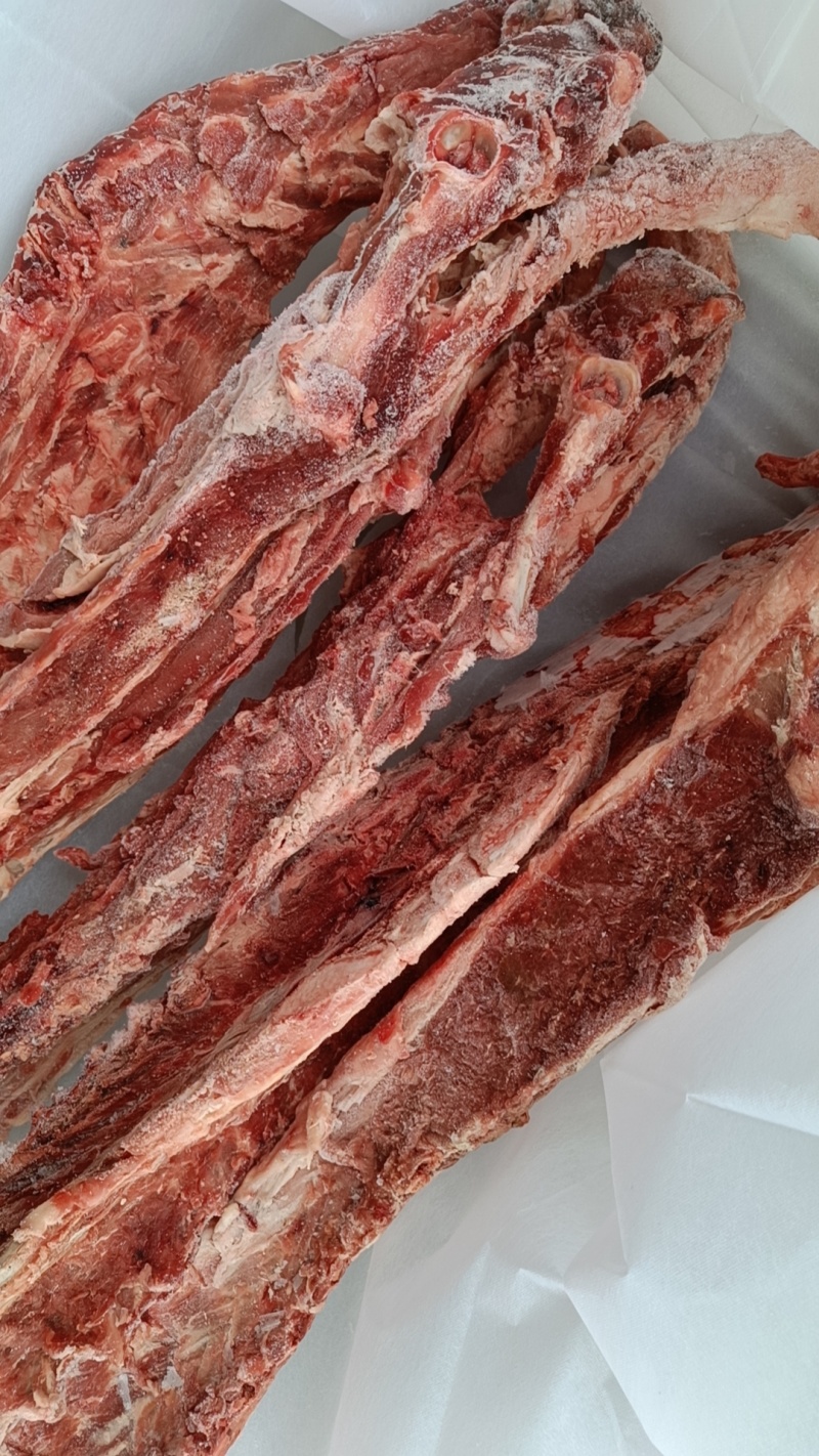 40斤起大羊多肉蝎子6一斤可锯断全国发货