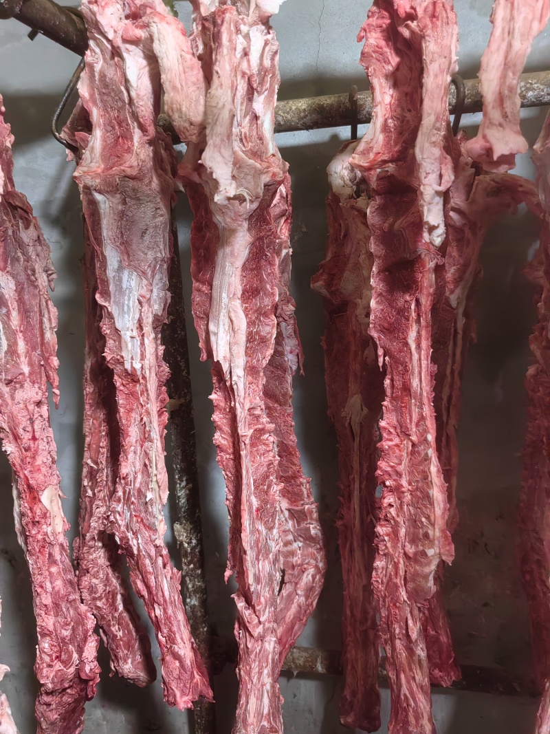 40斤起大羊多肉蝎子6一斤可锯断全国发货