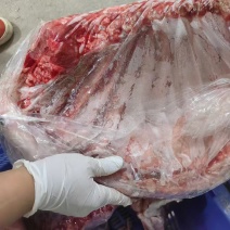 精品羊排纯干15一斤一箱起发大量现货规格可选