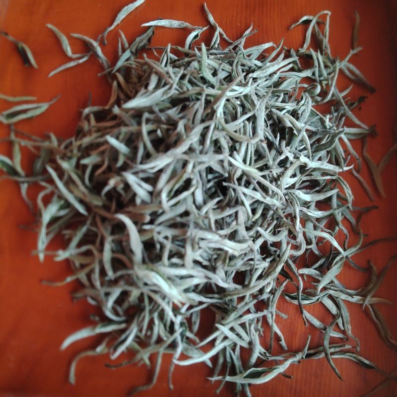 白茶普洱茶尖