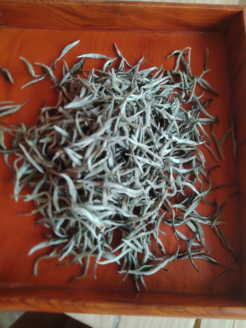 白茶普洱茶尖