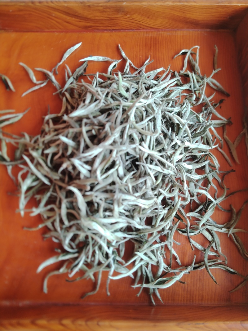 白茶普洱茶尖